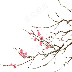 冬季梅花
