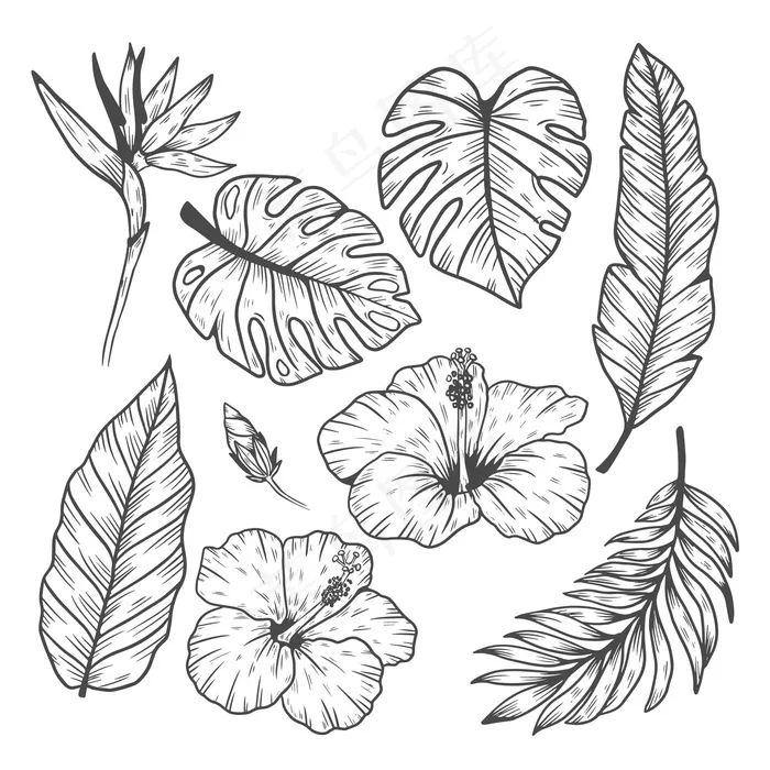 热带叶与花系列eps,ai矢量模版下载