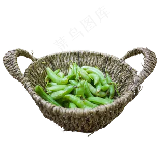草篮子里的绿色青豆
