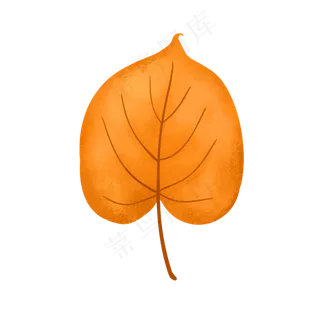 秋季落叶枫叶 秋季落叶枫叶