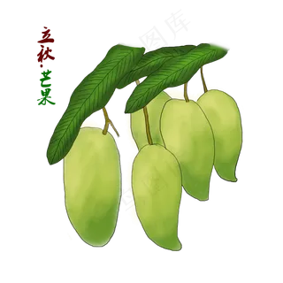立秋24二十四节气芒果