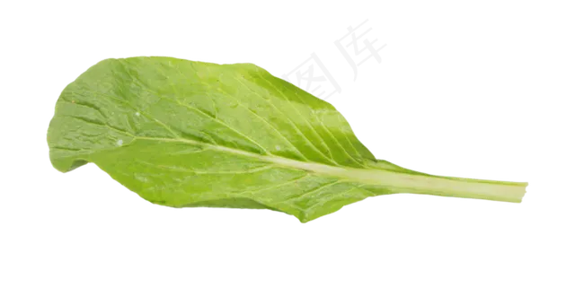 绿色蔬菜油菜 绿色蔬菜油菜