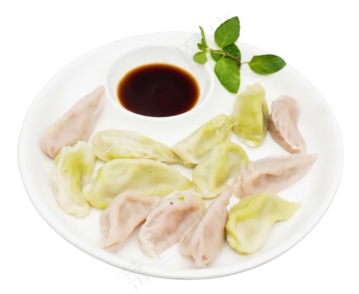 蘸料醋蔬菜饺子(3500X4000(DPI:350))
