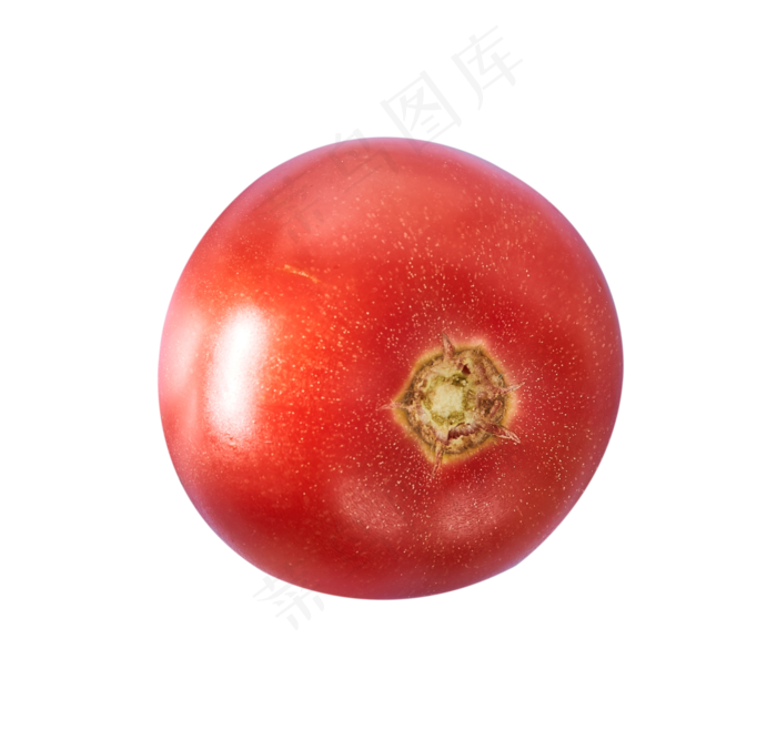 一个西红柿(2116X1988(DPI:300))psd模版下载