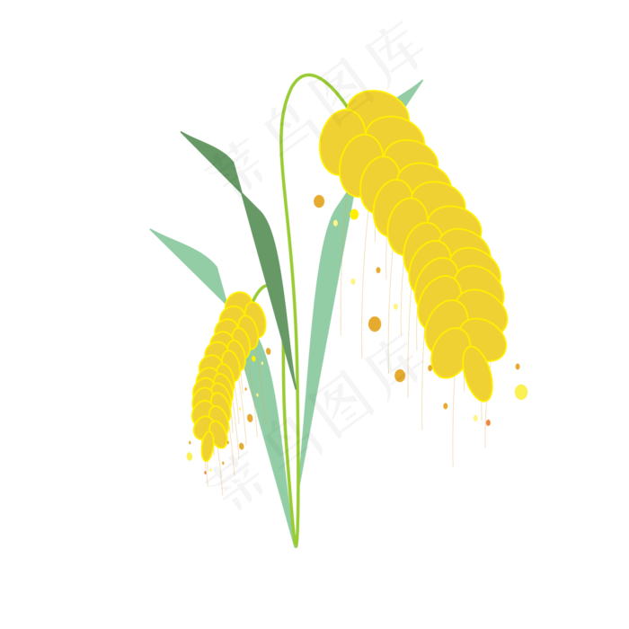 植物麦穗秋天秋收(2000X2000(DPI:96))cdr矢量模版下载