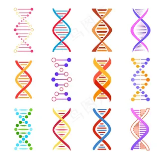 Dna 螺旋图标，遗传医学载体标志。螺旋分子结构、科学和科学研究、五颜六色的 dna 设计元素、人类基因代码进化符号在白色背景下隔离