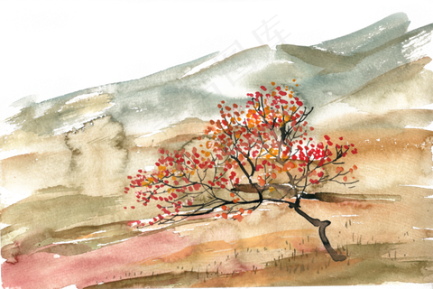 山坡上的柿子树水彩画PNG免抠