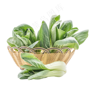一篮蔬菜油菜 一篮蔬菜油菜