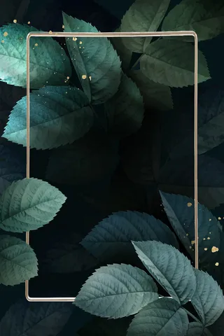 带树叶图案背景矢量的矩形金框
