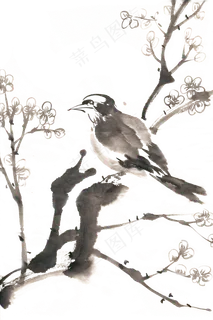小鸟与梅花PNG免抠素材