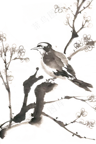 小鸟与梅花PNG免抠素材