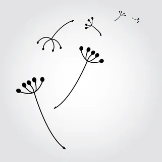 蒲公英与种子矢量图