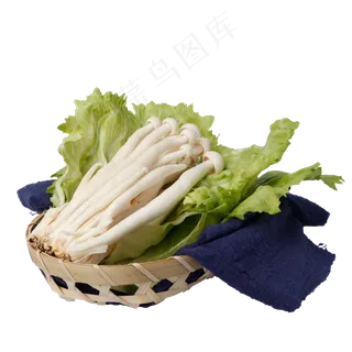 一篮新鲜的海鲜菇免抠图