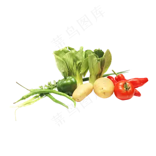 青菜葱辣椒土豆蔬菜组合