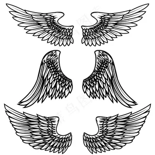 白色背景的复古翅膀。标志，标签，徽章，标志，商标的要素。插图。