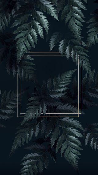 热带背景中的方形金色框架