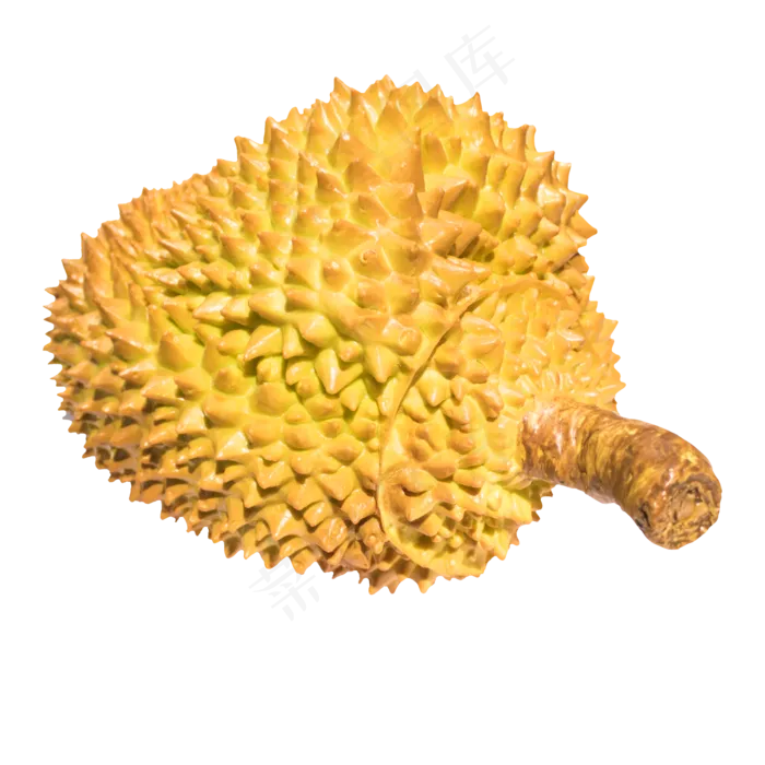 黄色的榴莲(2000*2000px 300 dpi )