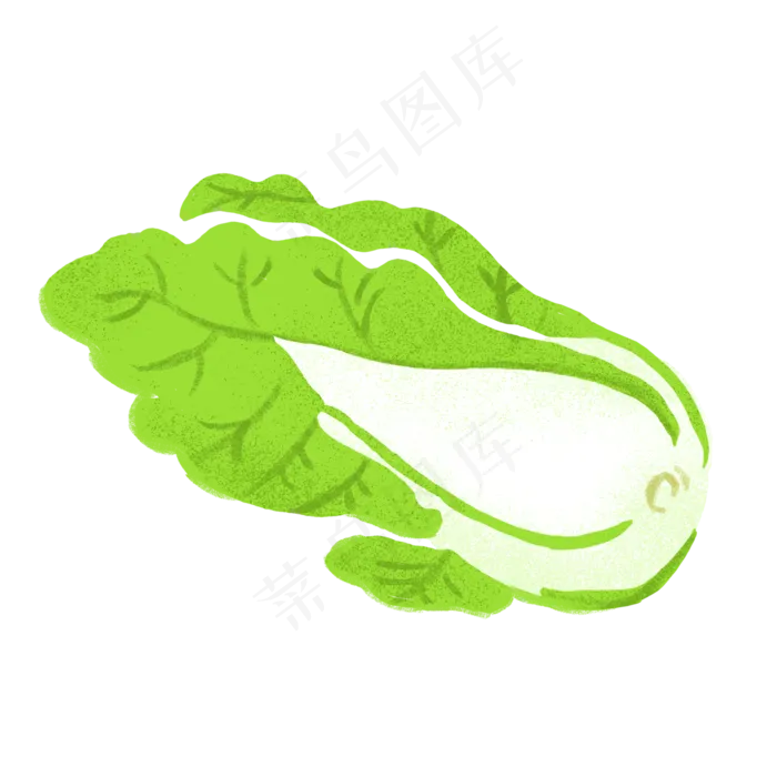 绿色蔬菜白菜矢量元素(2000X2000(DPI:300))psd模版下载