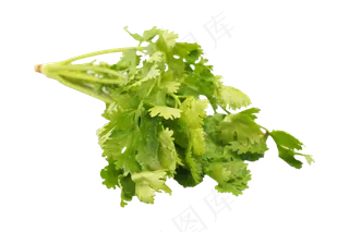 餐饮配菜香菜