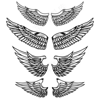 白色背景的复古翅膀。标志，标签，徽章，标志，商标的要素。插图。