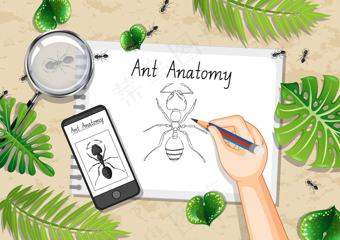 顶视图办公桌，带有绿叶和昆虫的办公元素