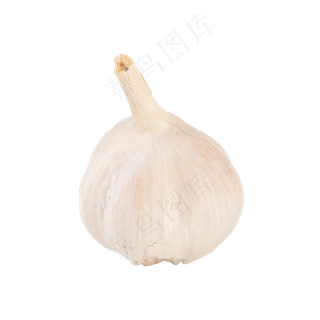 一个大蒜实拍png免抠
