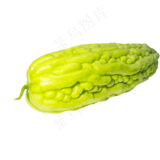 一条苦瓜