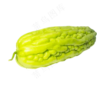 一条苦瓜