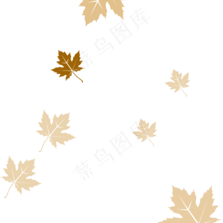 秋天漂浮的枫叶