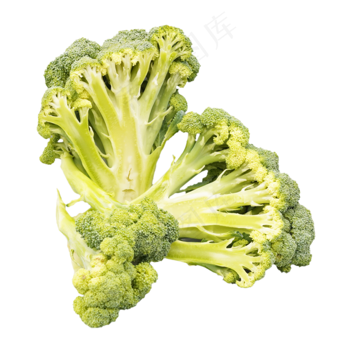 餐饮食材西兰花(2000*2000px 300 dpi )