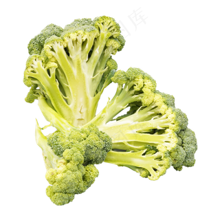 餐饮食材西兰花