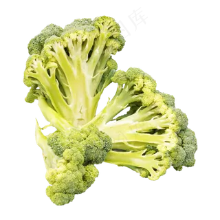 餐饮食材西兰花