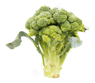 绿色蔬菜西兰花