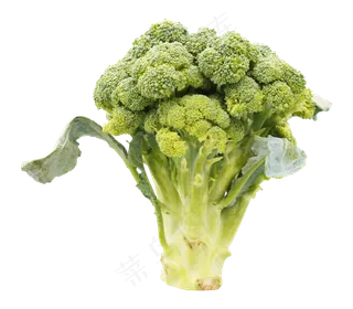 绿色蔬菜西兰花