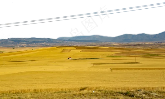 一望无际的麦田 一望无际的麦田