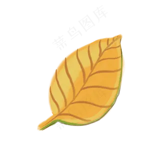一片黄色的树叶免抠装饰图