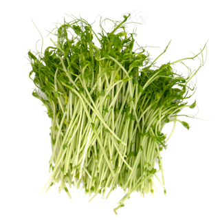 蔬菜豆苗
