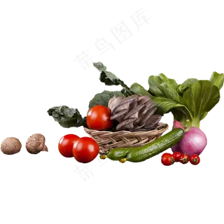 红色绿色紫色蔬菜西红柿番茄生菜