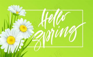 春天的背景是雏菊和新鲜的绿草。你好春天手写字母。插图