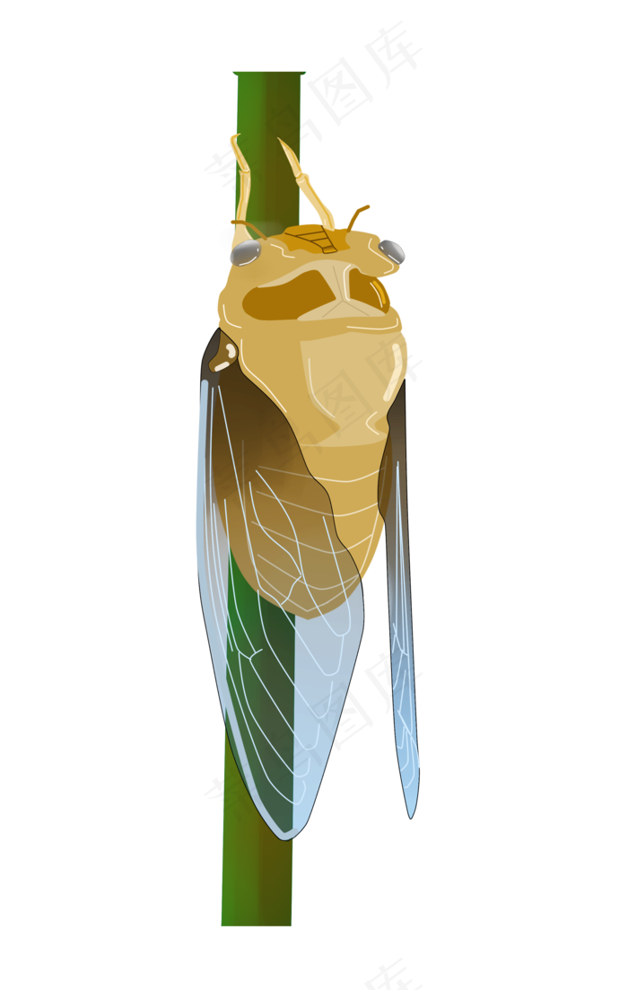 立秋昆虫蝉图案(2000X3151(DPI:300))psd模版下载