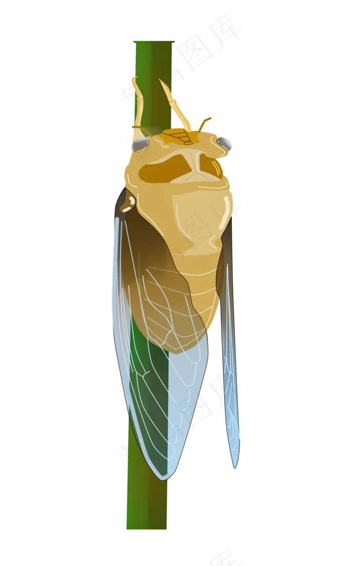 立秋昆虫蝉图案(2000X3151(DPI:300))psd模版下载