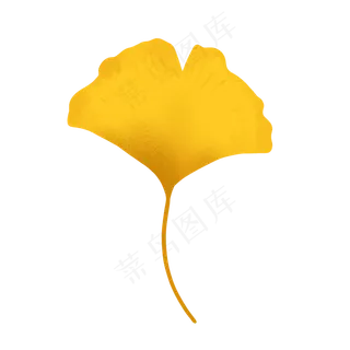 秋季黄色银杏叶子