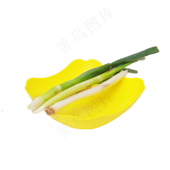 几颗大葱(1842X1620(DPI:300))