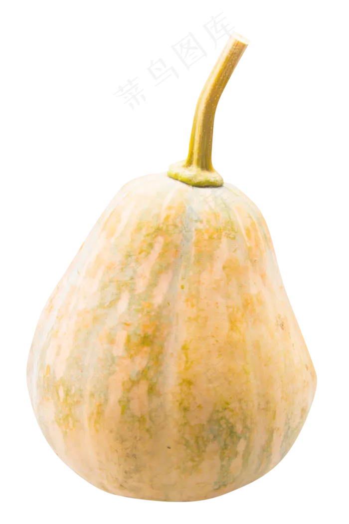黄色蔬菜南瓜(3000X3000(DPI:300))