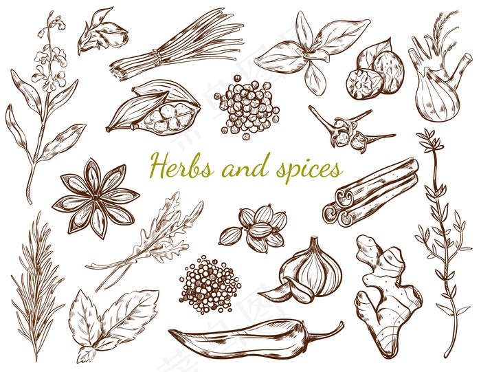 草药和香料系列