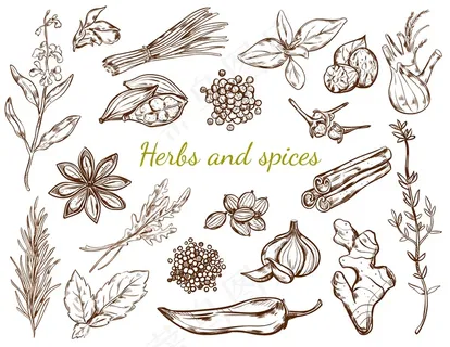 草药和香料系列