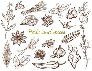 草药和香料系列