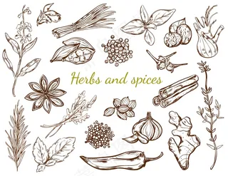 草药和香料系列