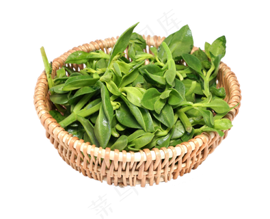 新鲜蔬菜儿菜 新鲜蔬菜儿菜
