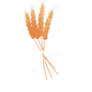 卡通稻穗